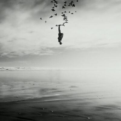 ayx体育在线登录手机app下载